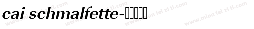 cai schmalfette字体转换